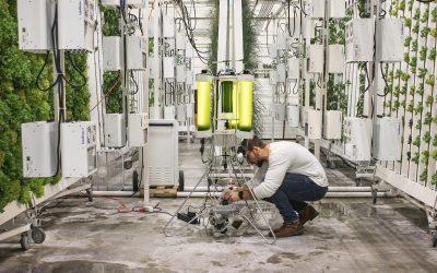 Photograph of Permabioreactor Prototype, Setup