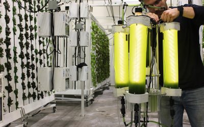 Photograph of Permabioreactor Prototype, Growth Check 2