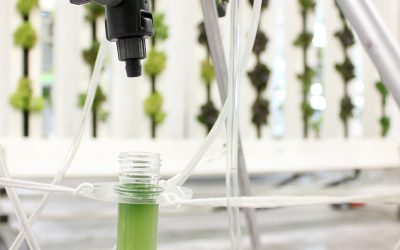 Photograph of Permabioreactor Prototype, Functional System Closeup